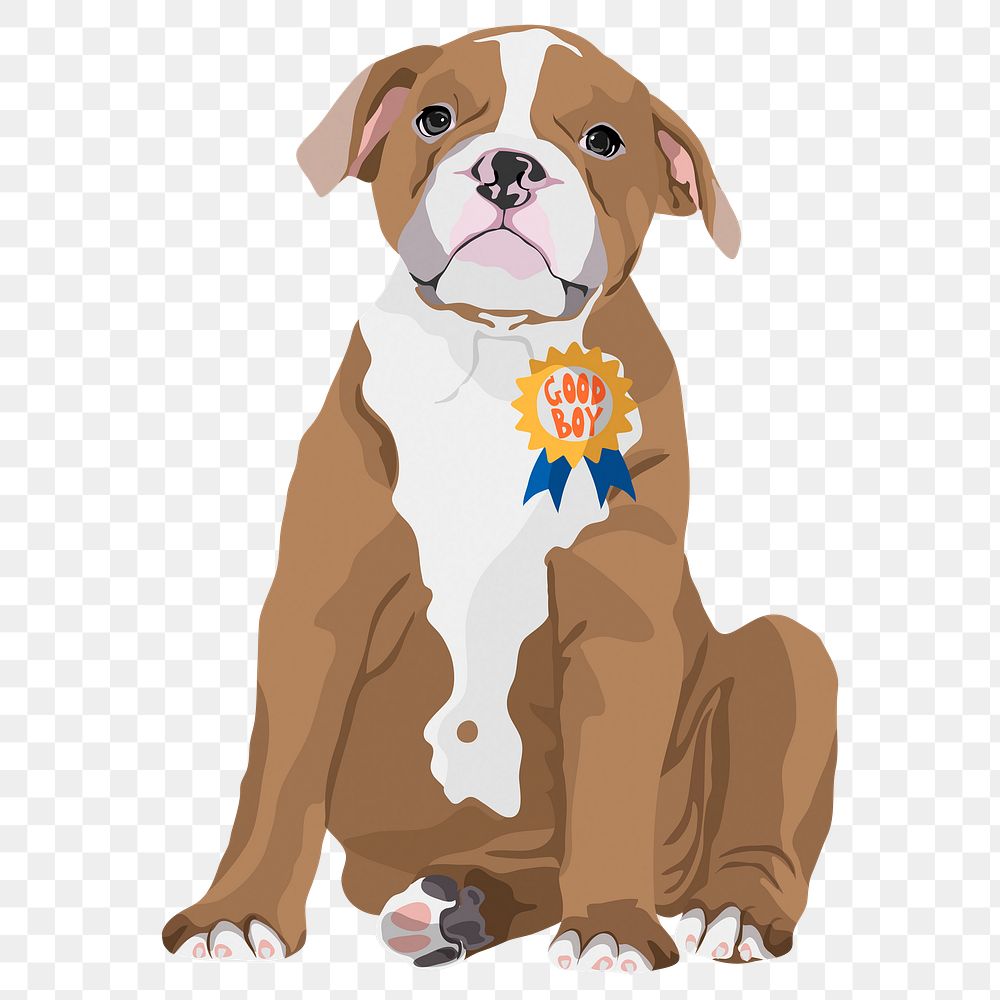 PNG bulldog wearing good boy award badge sticker, transparent background