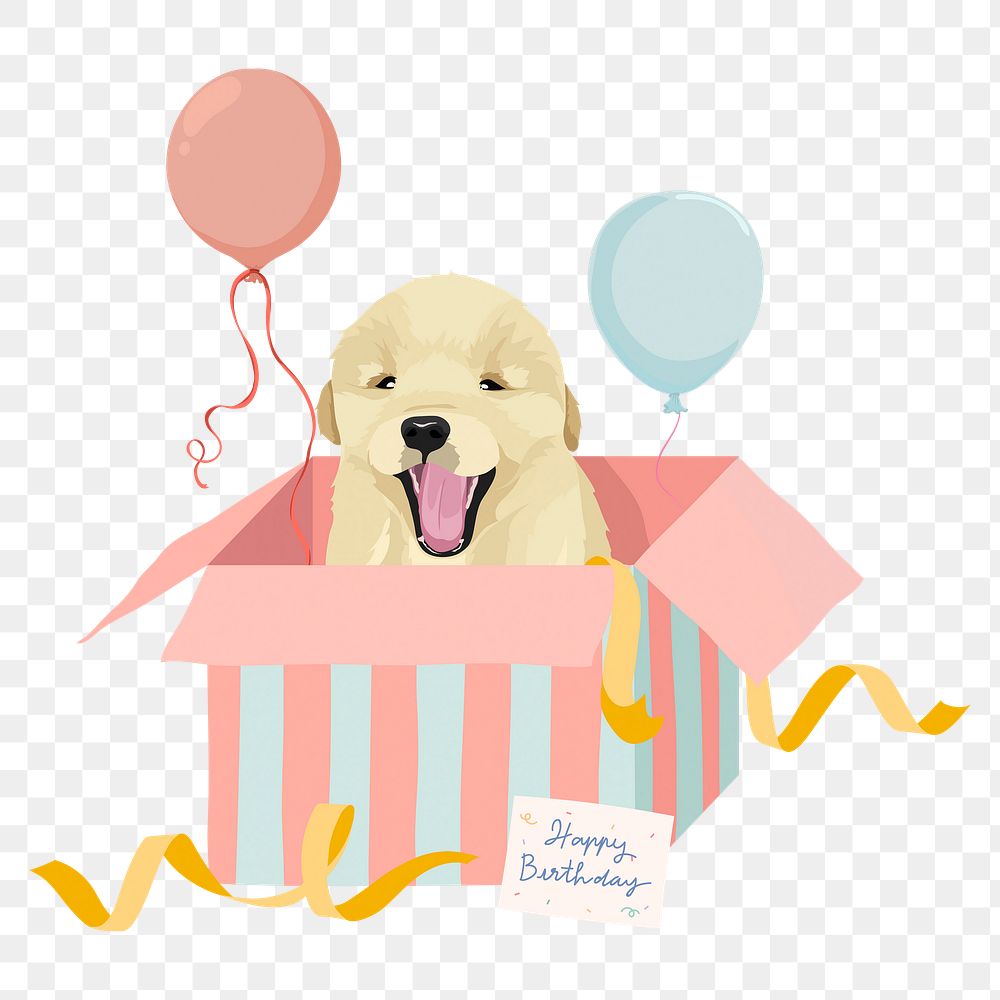 Birthday gift png, golden retriever puppy in a box illustration sticker, transparent background