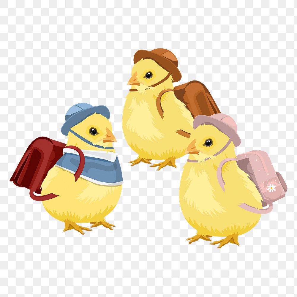 Baby chicks png illustration, kindergarten students sticker, transparent background
