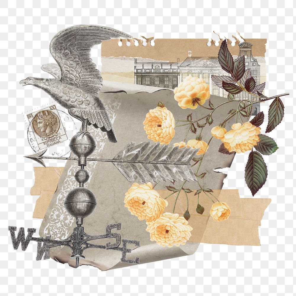 Vintage aesthetic ephemera png collage, mixed media background featuring rose and wind vane, transparent background 