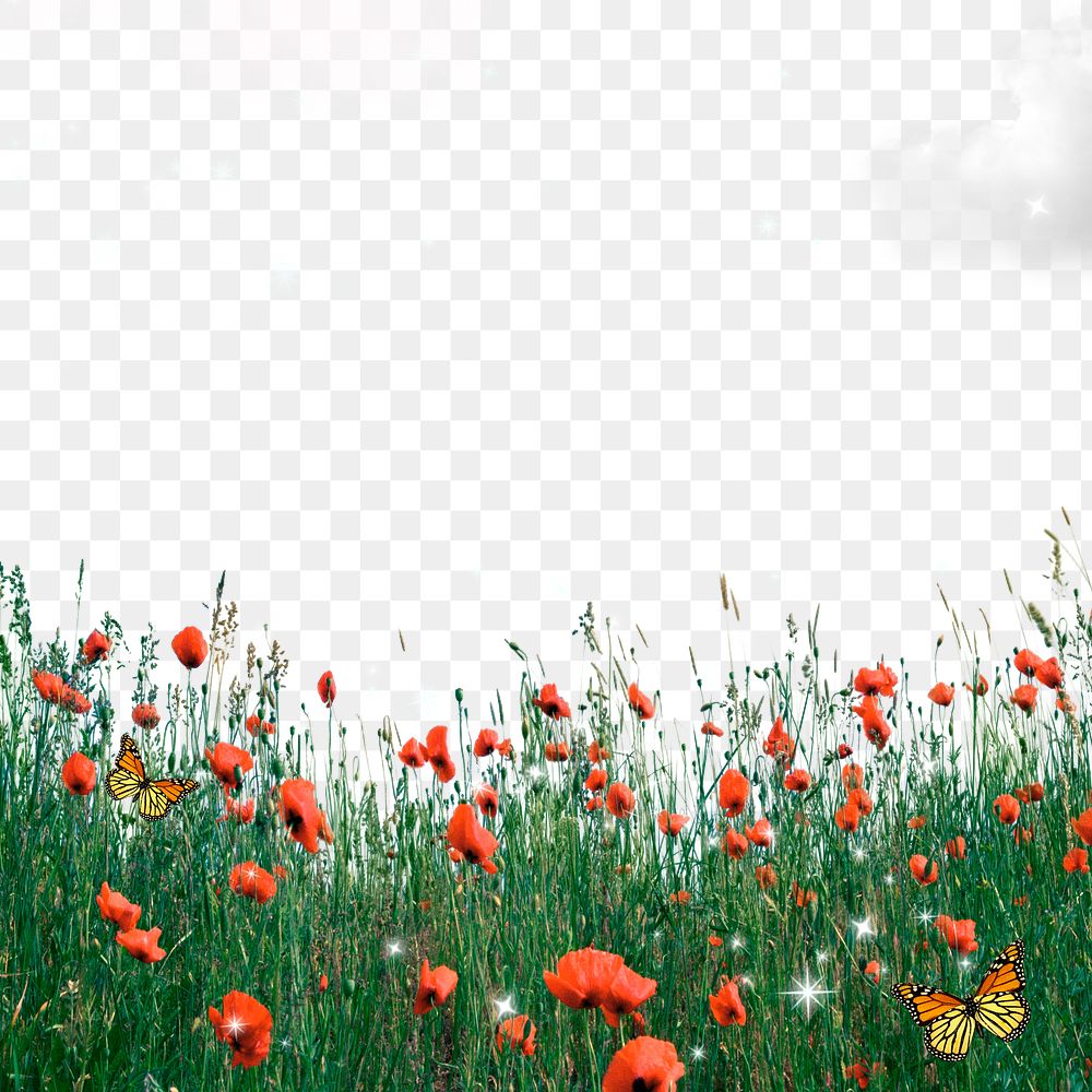 Flower field png border, red poppy, bling design on transparent background
