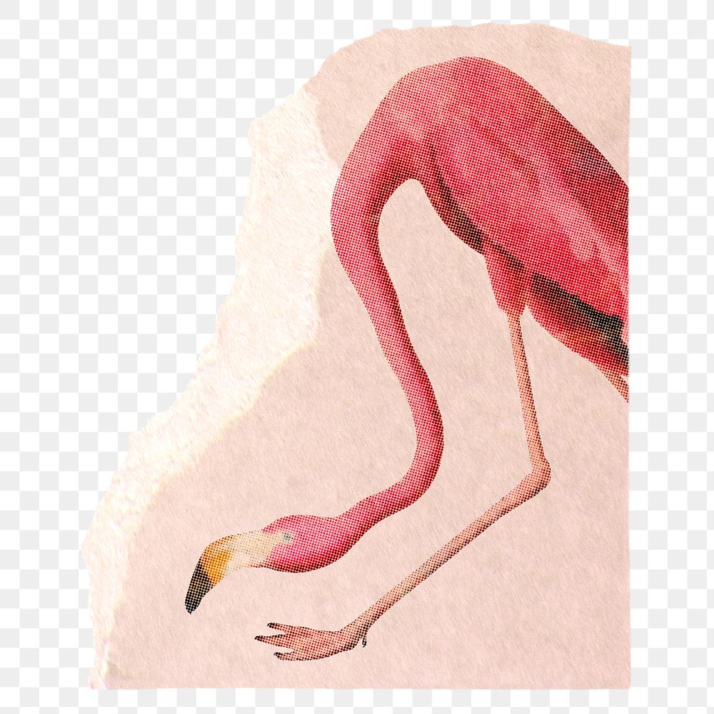 Flamingo png sticker, animal ripped paper transparent background