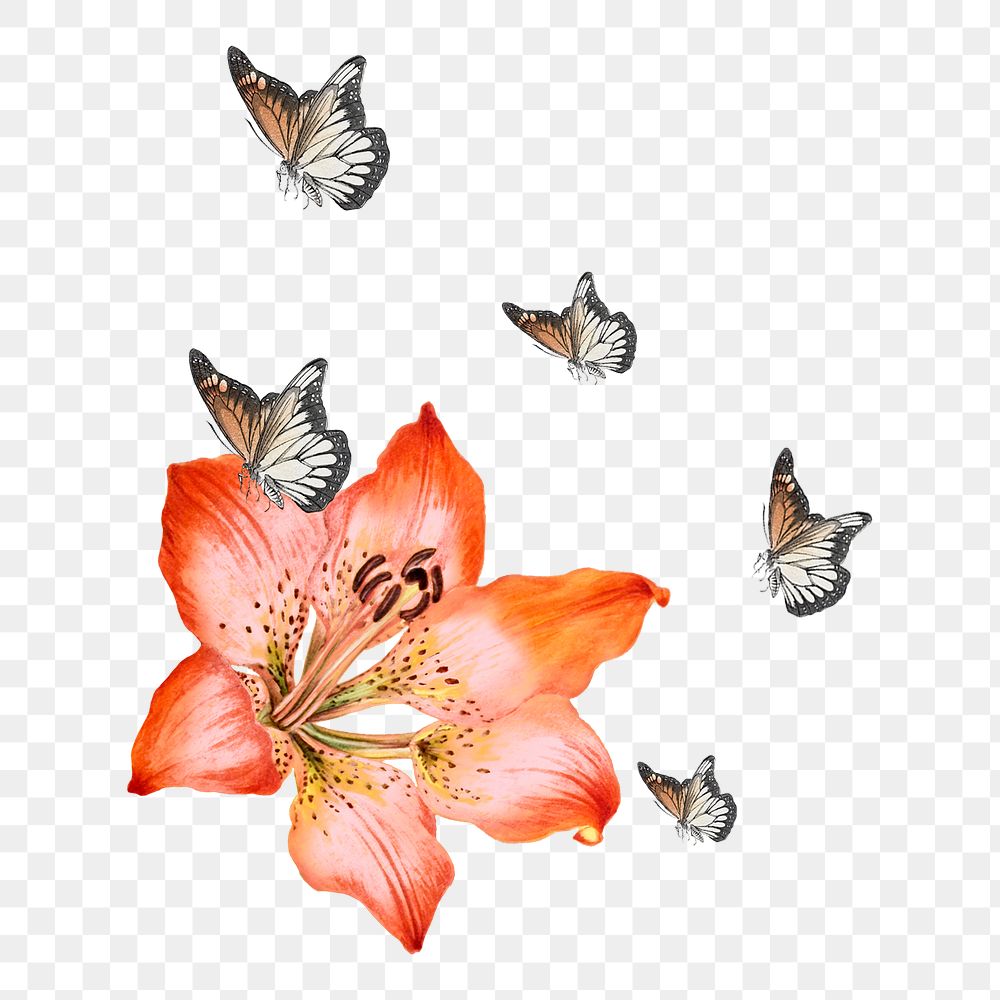 Red lily png sticker, butterfly transparent background