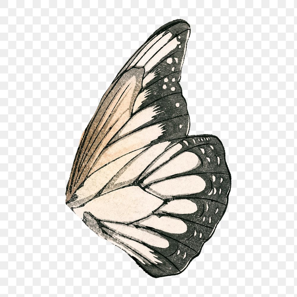 Butterfly wing png sticker, beige transparent background