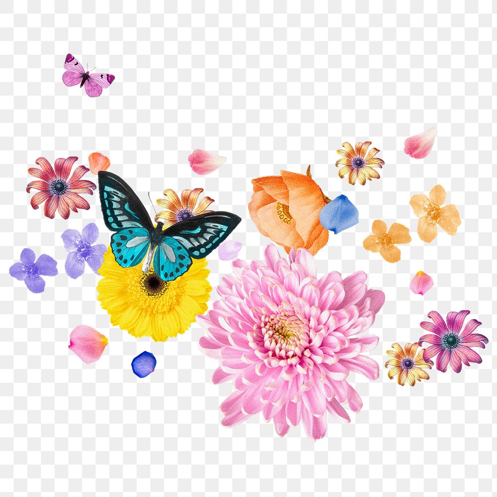 Flower & butterfly png sticker, botanical transparent background