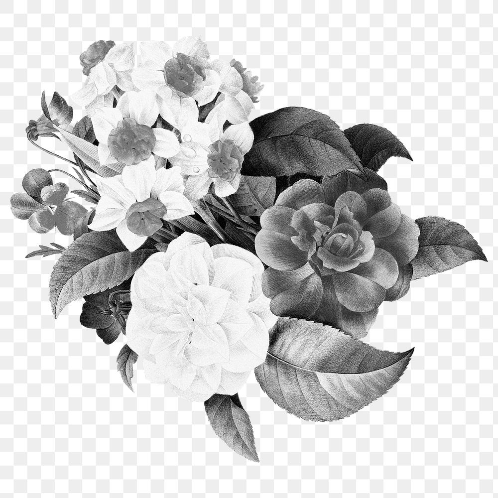 Flower bouquet png sticker, gray botanical transparent background