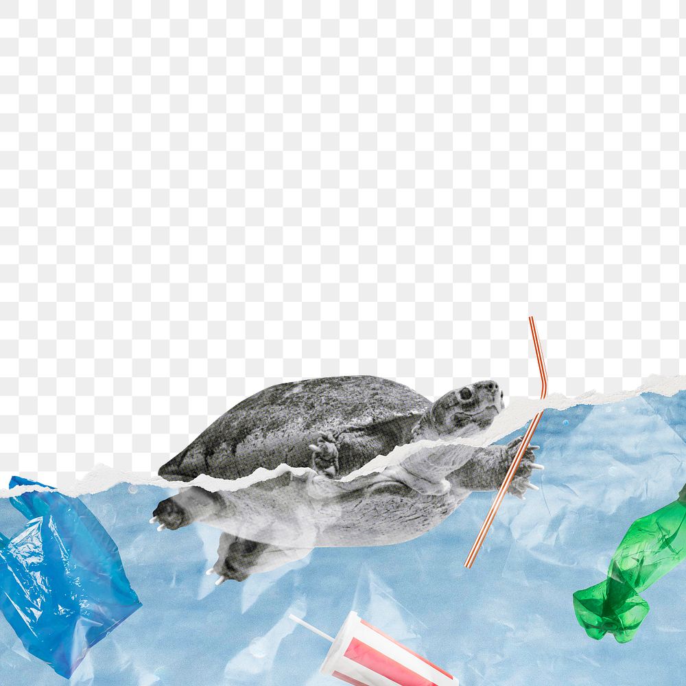 Save the ocean png border, turtle swimming in garbage, transparent background