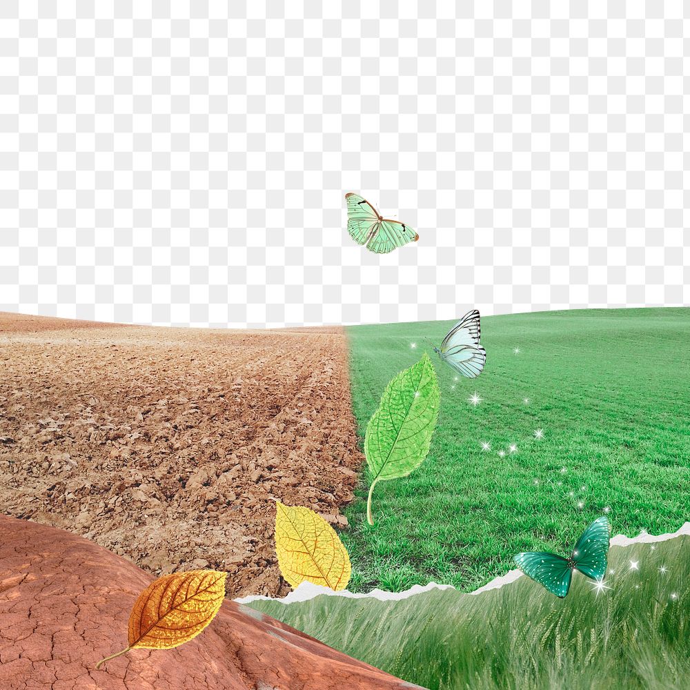 Environment collage png border, consequences of hurting nature, transparent background