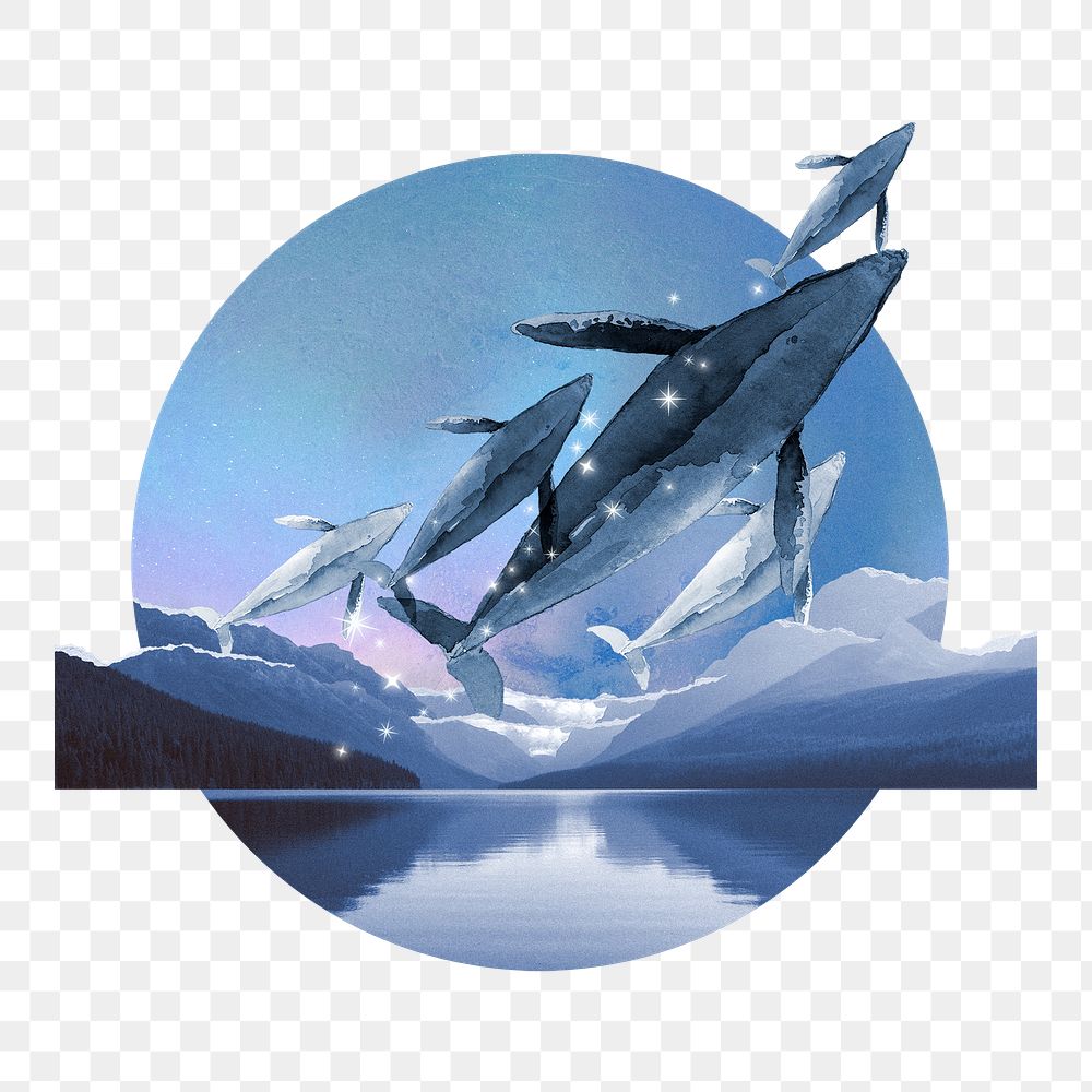 Jumping whale png round badge, transparent background
