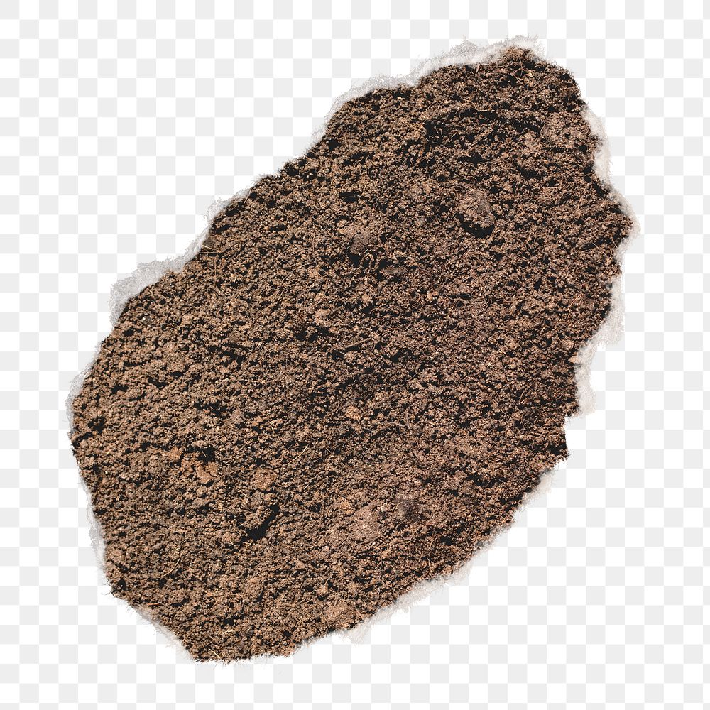 Soil png ripped paper, transparent background
