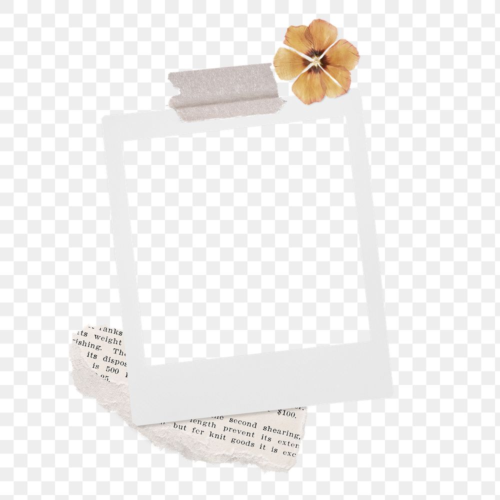 Cute png instant photo frame with flower, transparent background