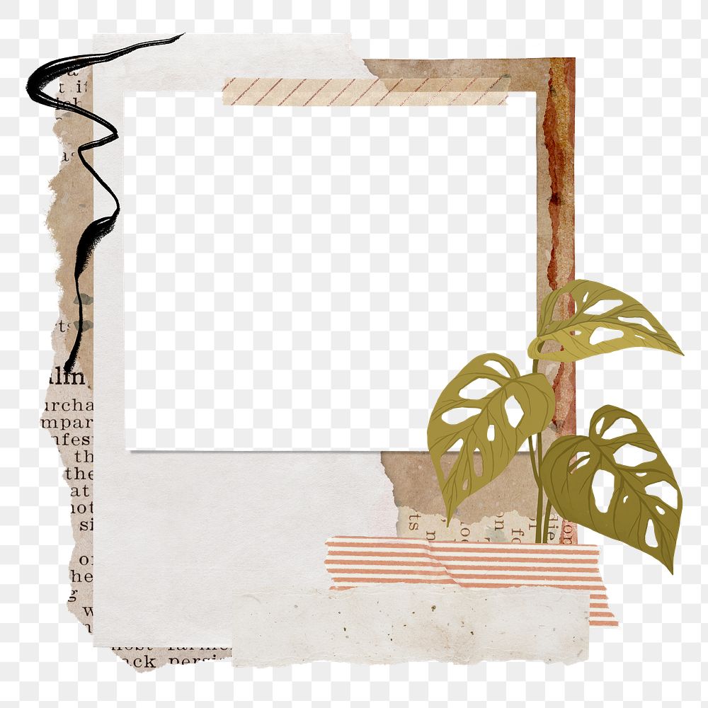 Png botanical instant photo frame collage element, transparent background