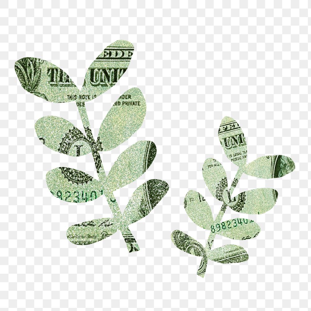 Leaf bank note png on transparent background