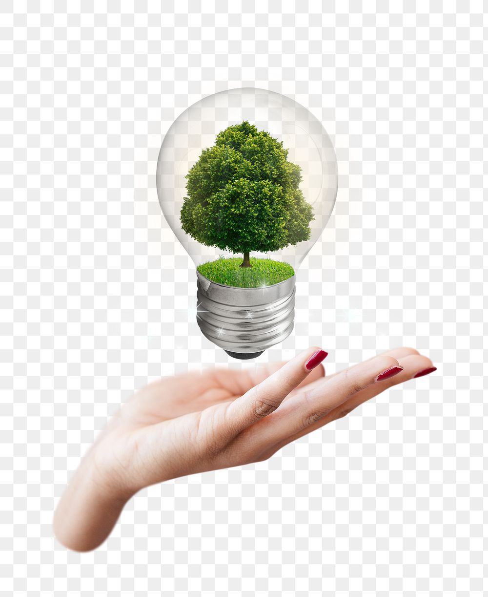 Png tree in light bulb, green energy, transparent background