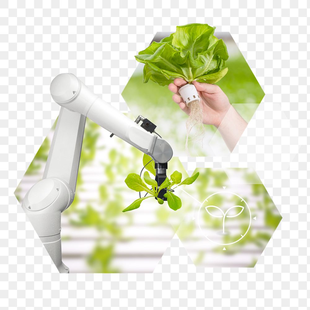 Agricultural robot png sticker, hydroponic farm, transparent background