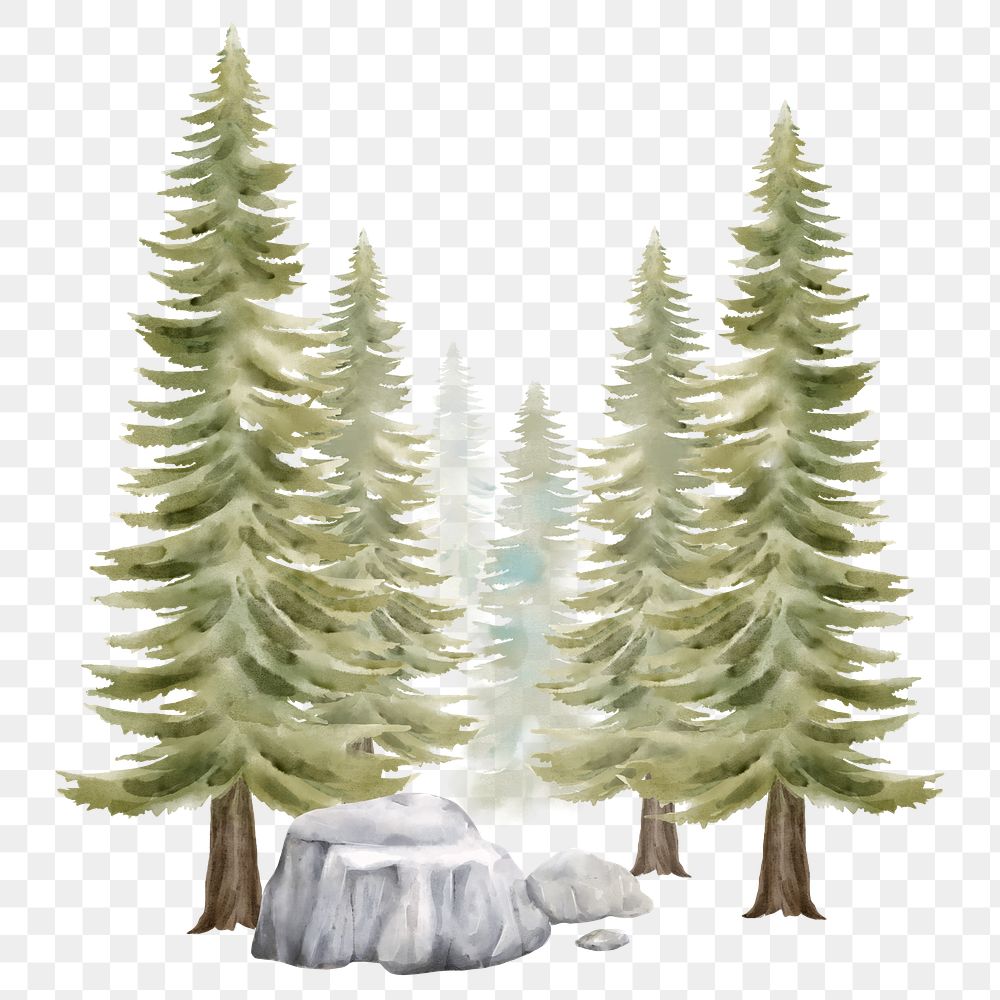 Forest watercolor png nature clipart, transparent background