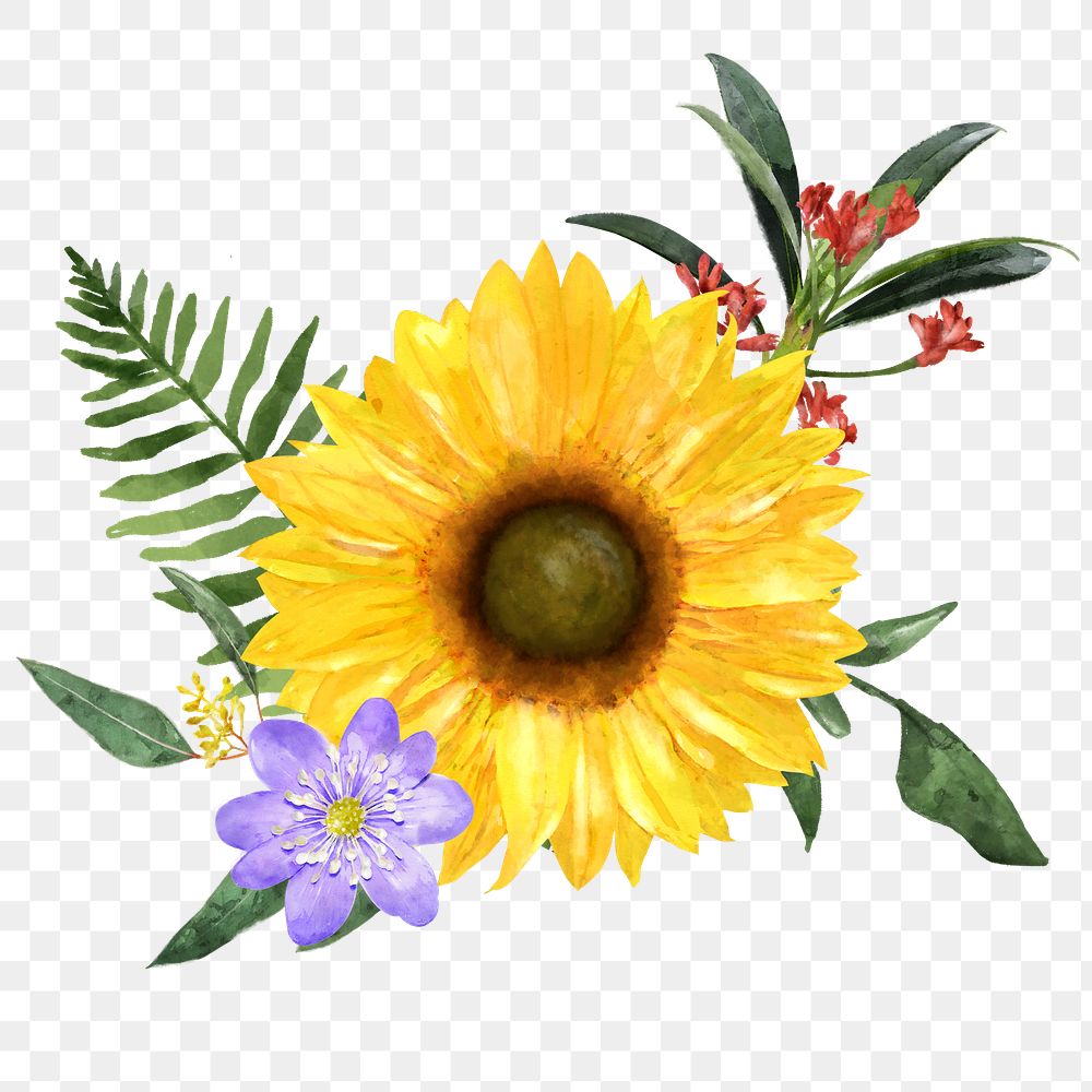 Watercolor sunflower png, spring flower arrangement, transparent background