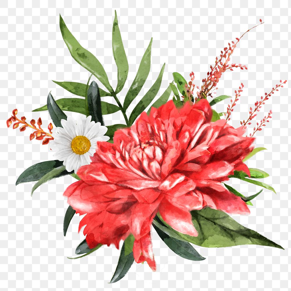 Red chrysanthemum png, watercolor flower arrangement collage element, transparent background