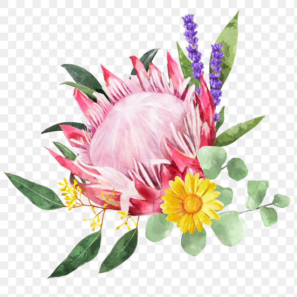 King protea png, watercolor flower arrangement, transparent background