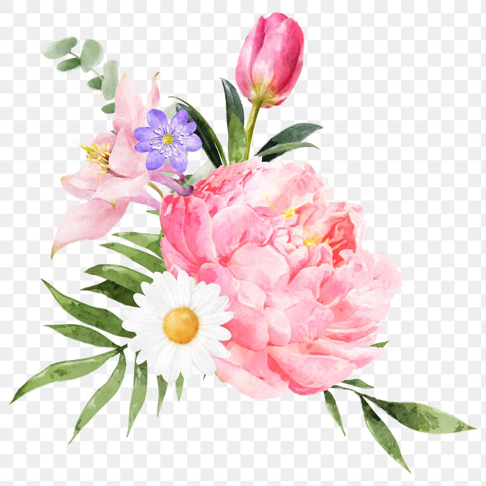 PNG watercolor pink peony, flower arrangement collage element, transparent background