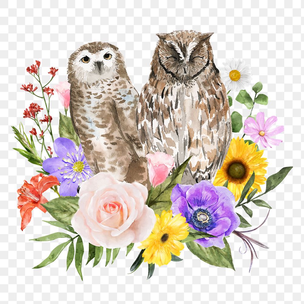 Owls png, watercolor collage element, transparent background