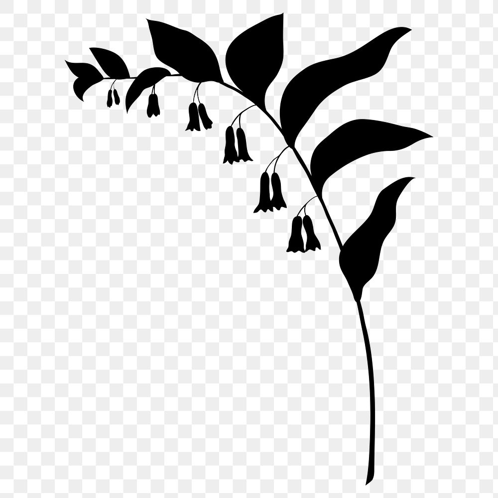 Flower silhouette png, lily of the valley clipart, transparent background