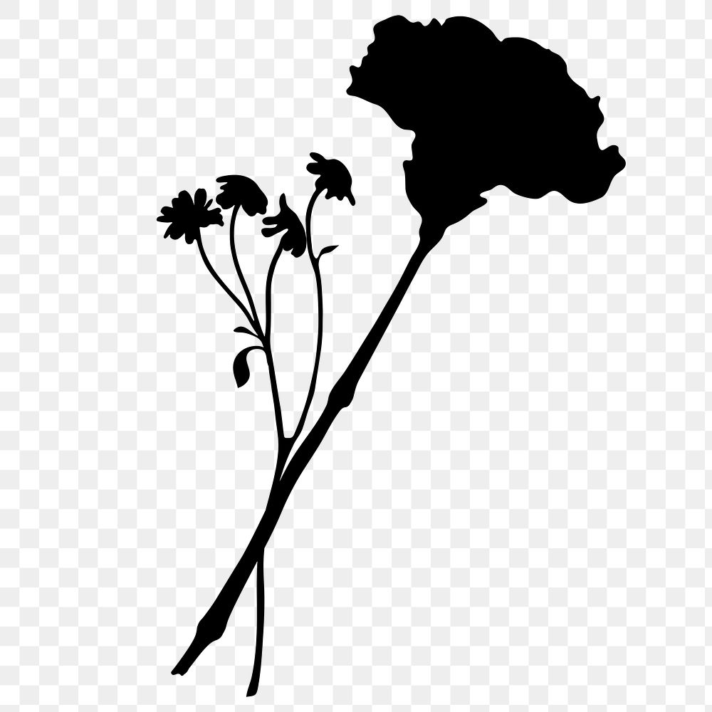 Flower silhouette png, carnation and daisy clipart, transparent background