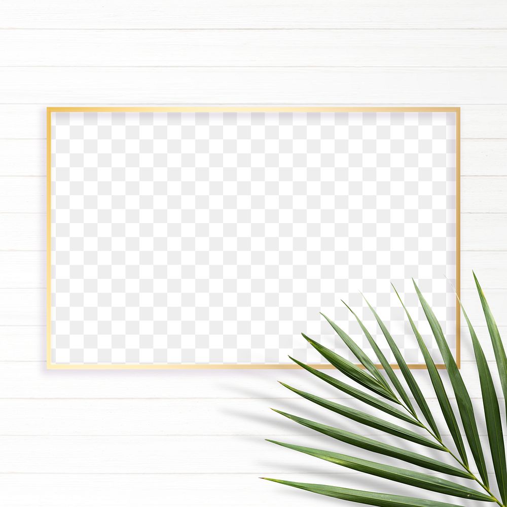 Palm leaves with a gold frame design element