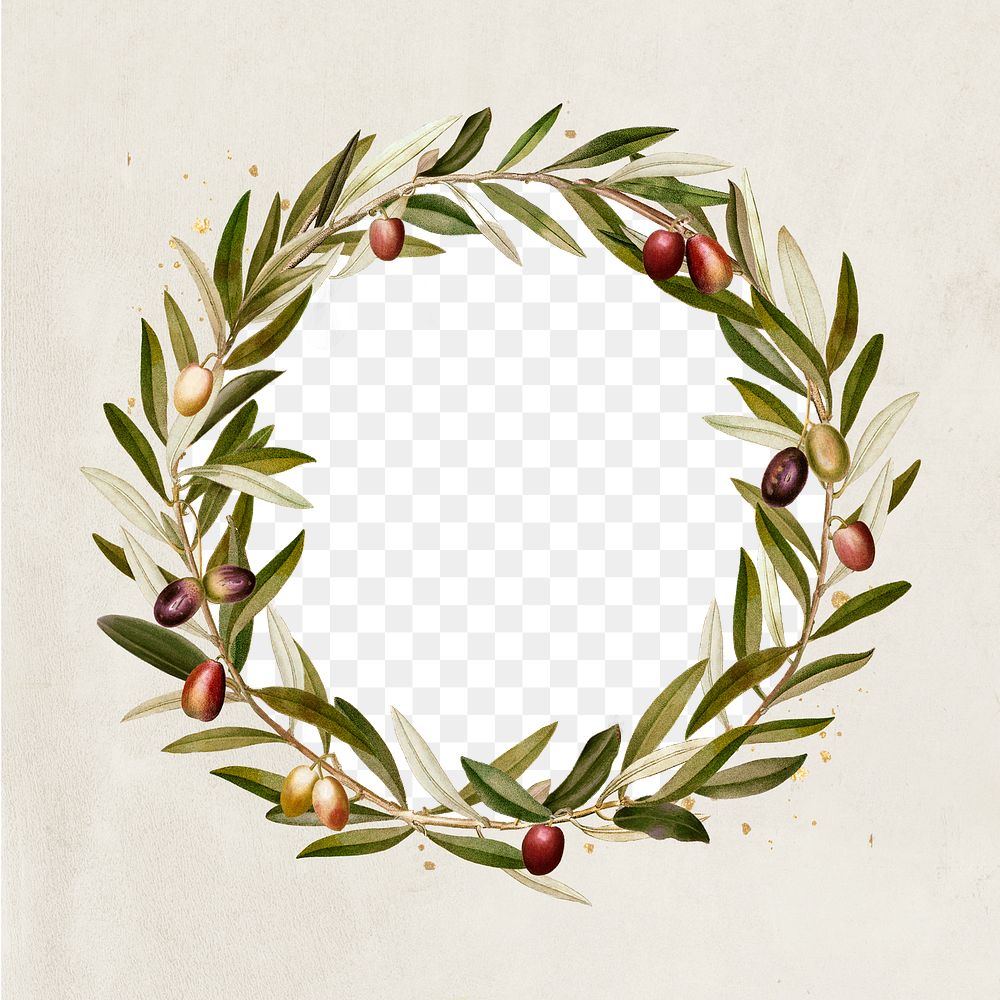 Olive branches wreath png /green botanical