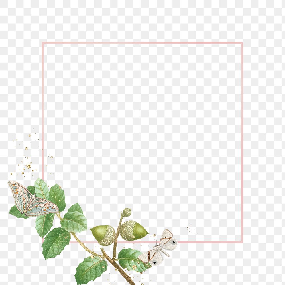 Botanical frame png oak leaf pattern
