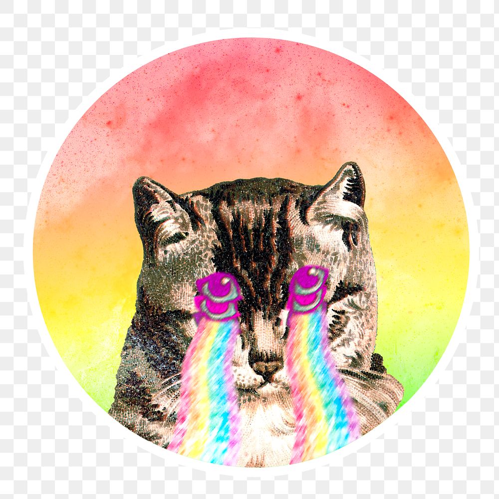 Cat with rainbow laser eyes sticker transparent png