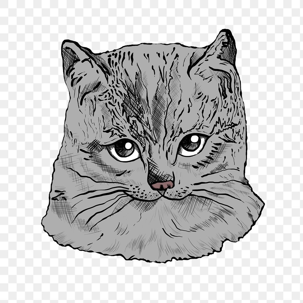 Hand drawn gray cat sticker transparent png