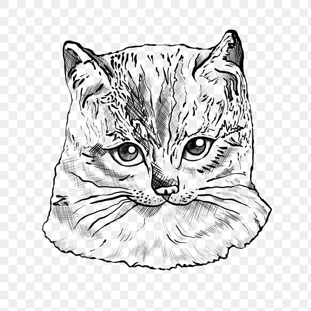 Hand drawn gray cat sticker transparent png