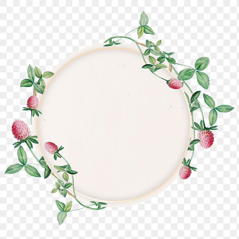 Round clover flower frame transparent png 