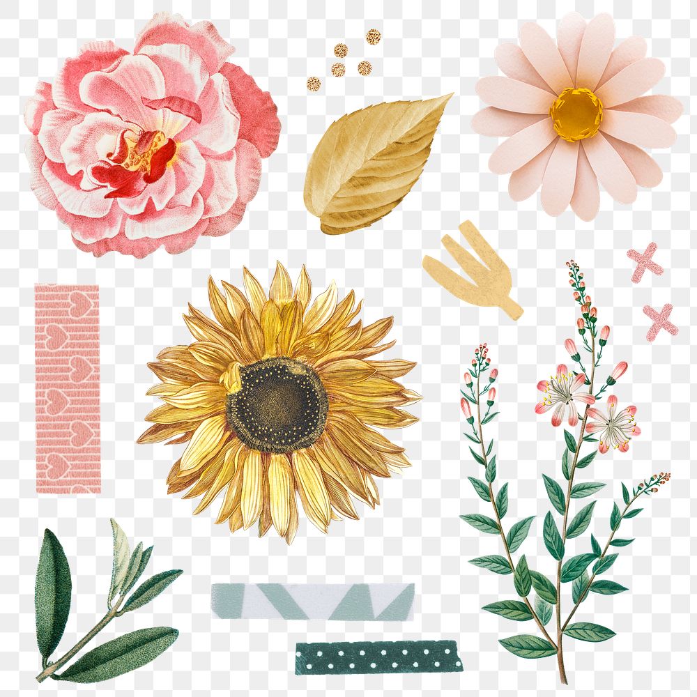 Rose and sunflower stickers pack transparent png