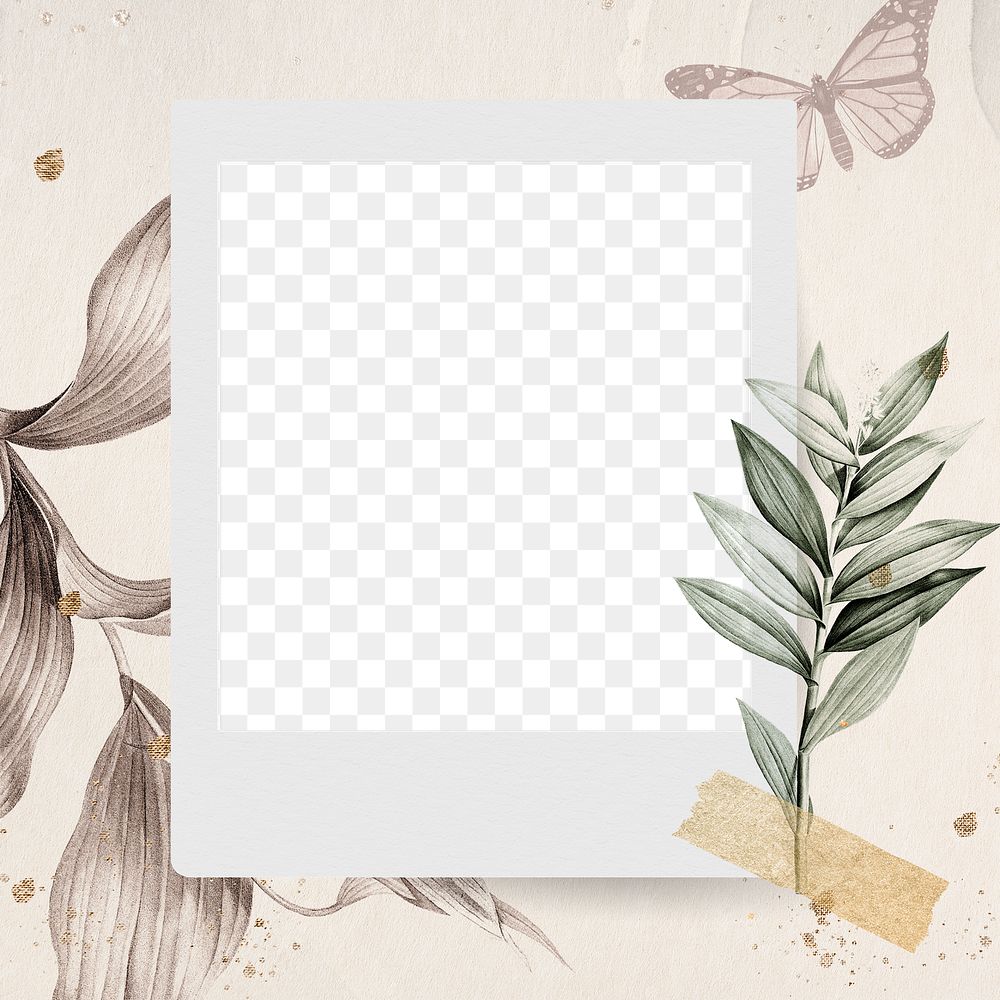 Blank photo frame on nature background transparent png