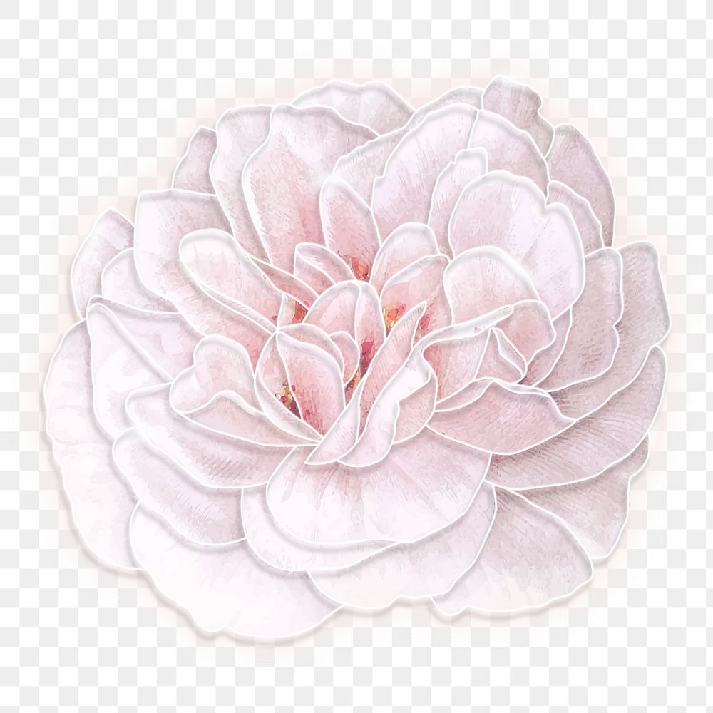 White neon rose transparent png