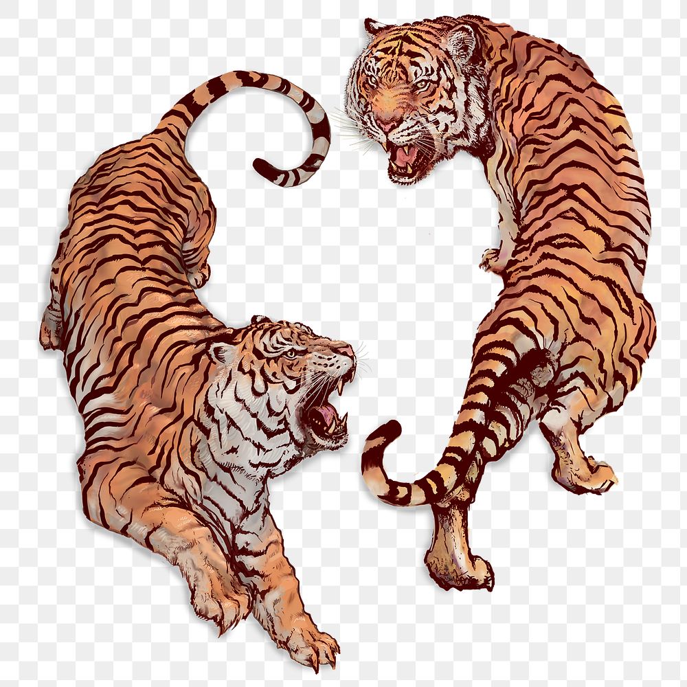 Hand drawn roaring yin yang tigers overlay
