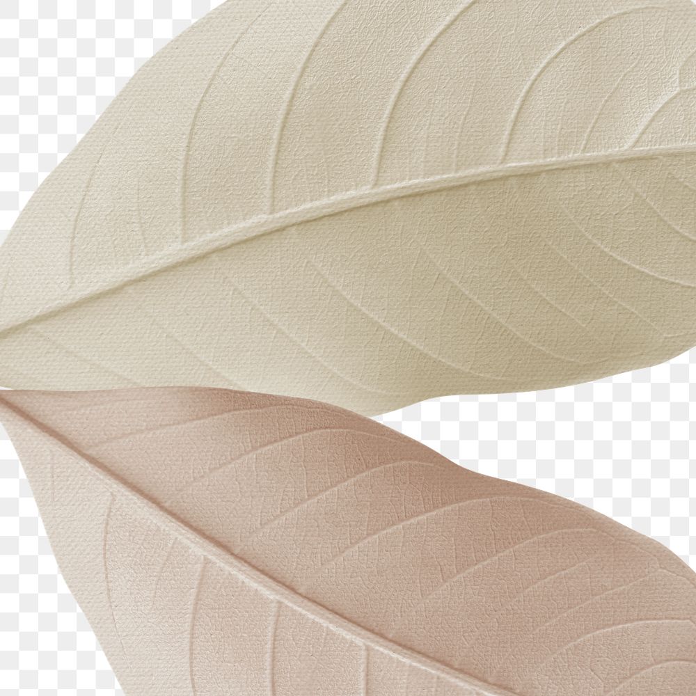 Closeup of beige leaves texture design element