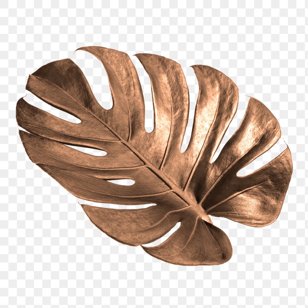 Golden monstera leaf design resource 