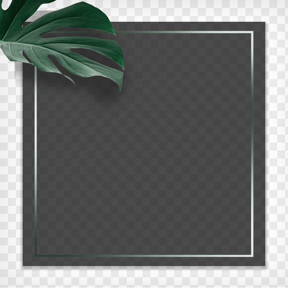 Square frame with green monstera leaves background design element