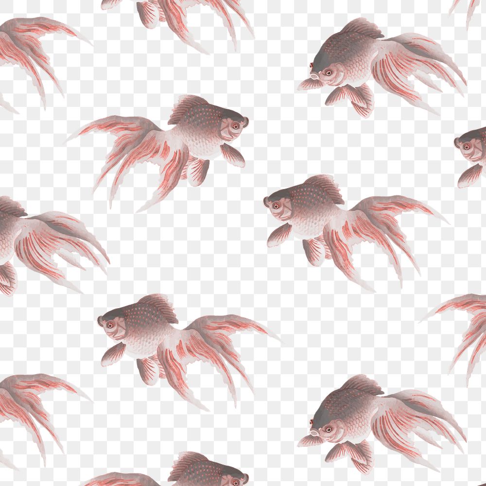 Vintage Veiltail goldfish pattern illustration transparent png design remix from original artwork.  