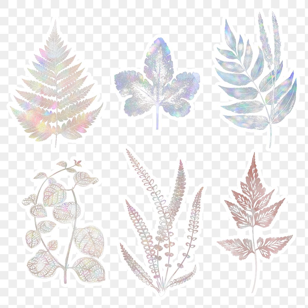Holographic fern sticker set design resources