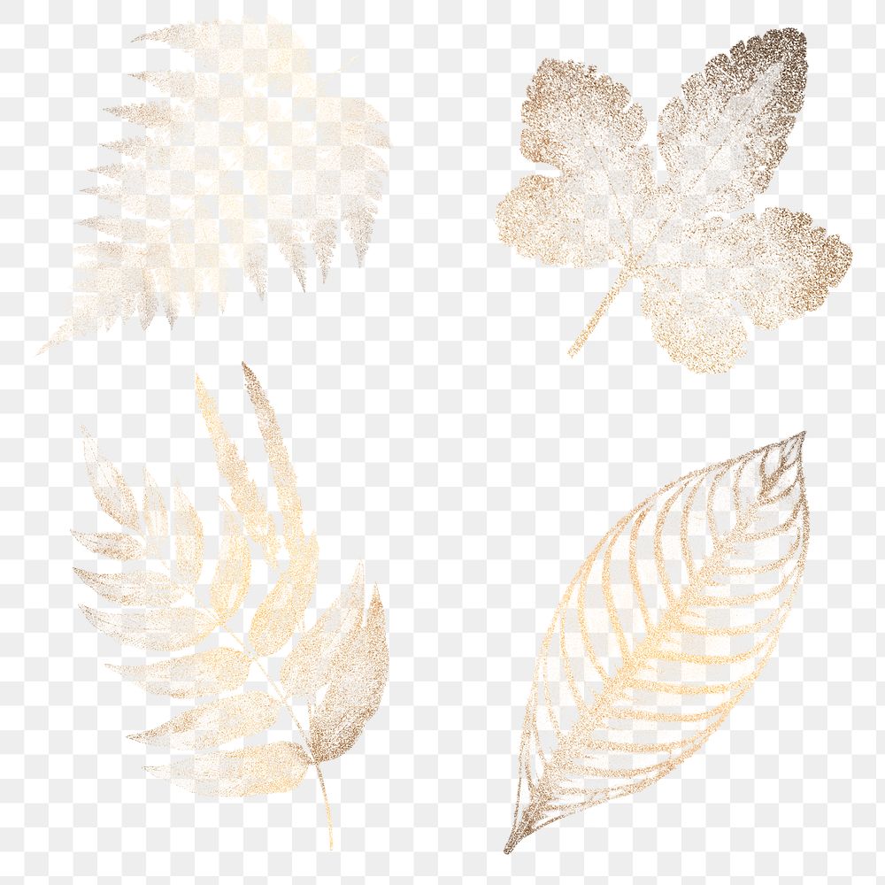 Golden fern leaves collection design elements 