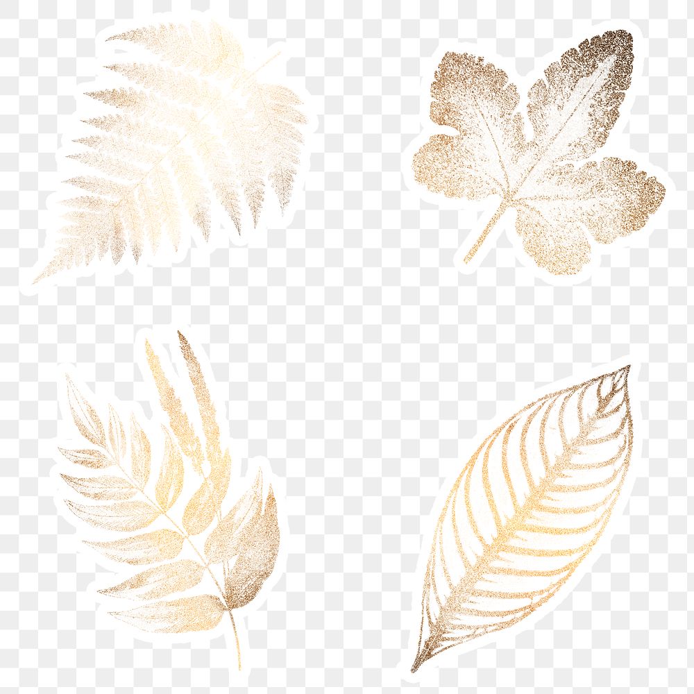 Golden fern leaves sticker collection design elements