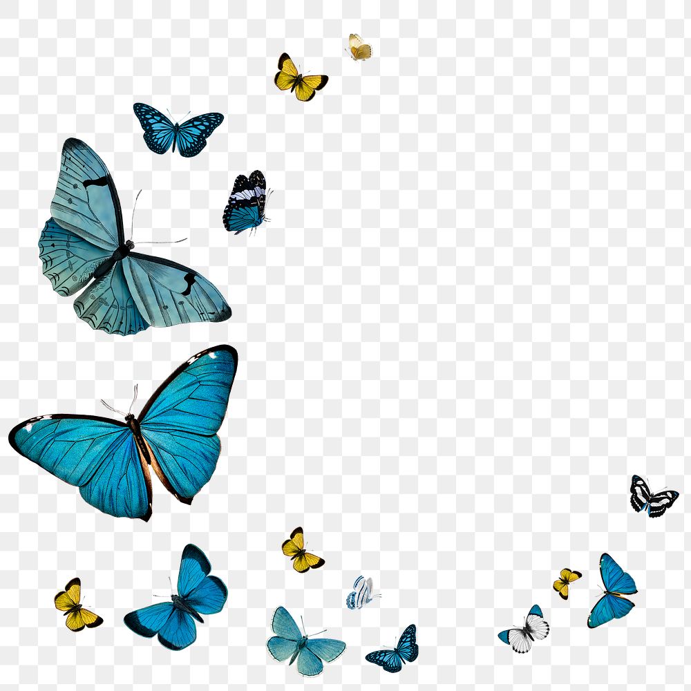 Vintage Common Blue butterflies with a copy space