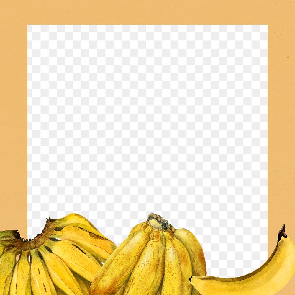 Hand drawn natural fresh banana frame