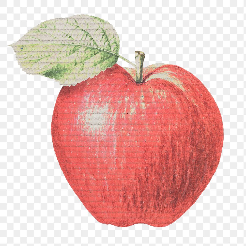 Red paper textured apple illustration design element 