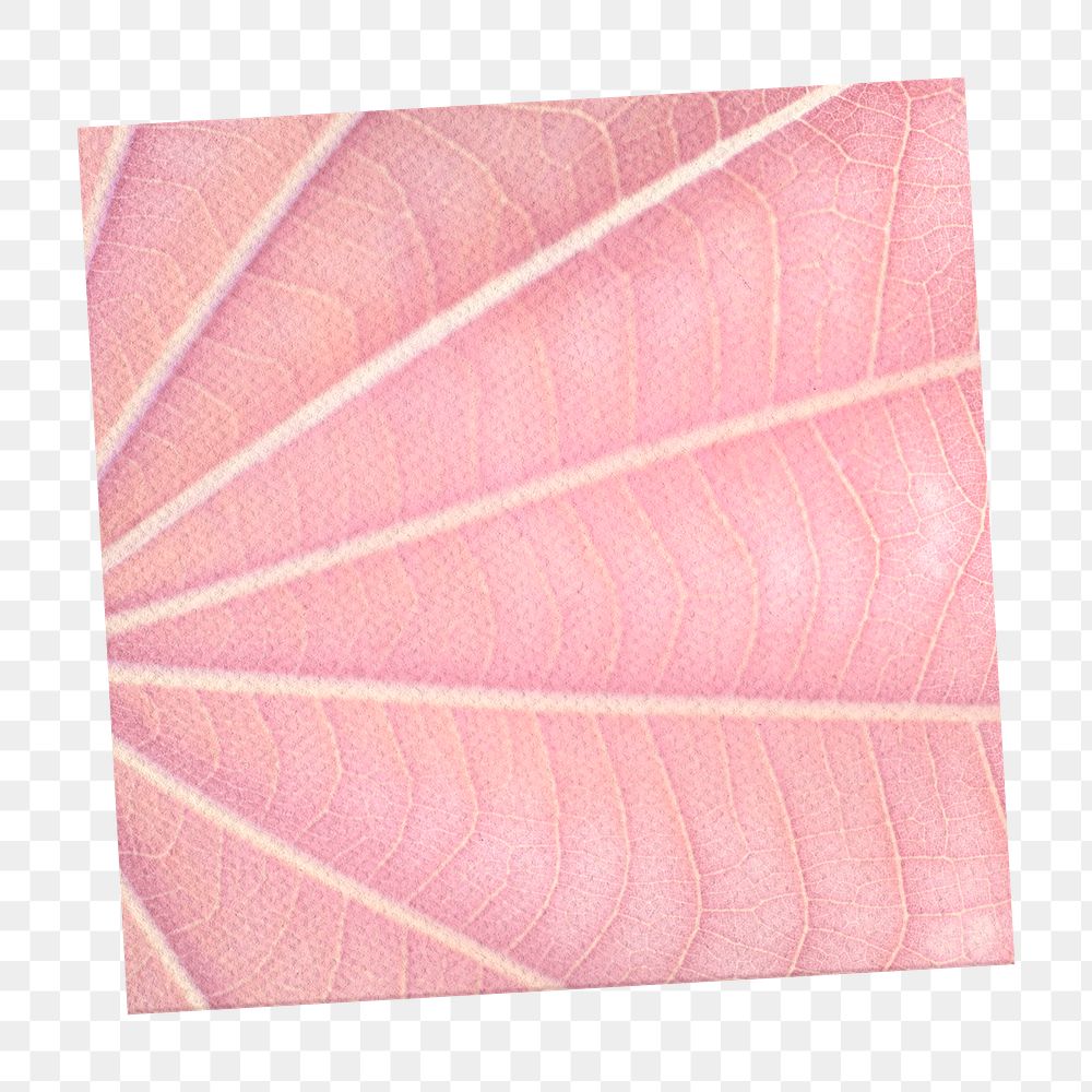 Pink leaf patterned notepaper design element