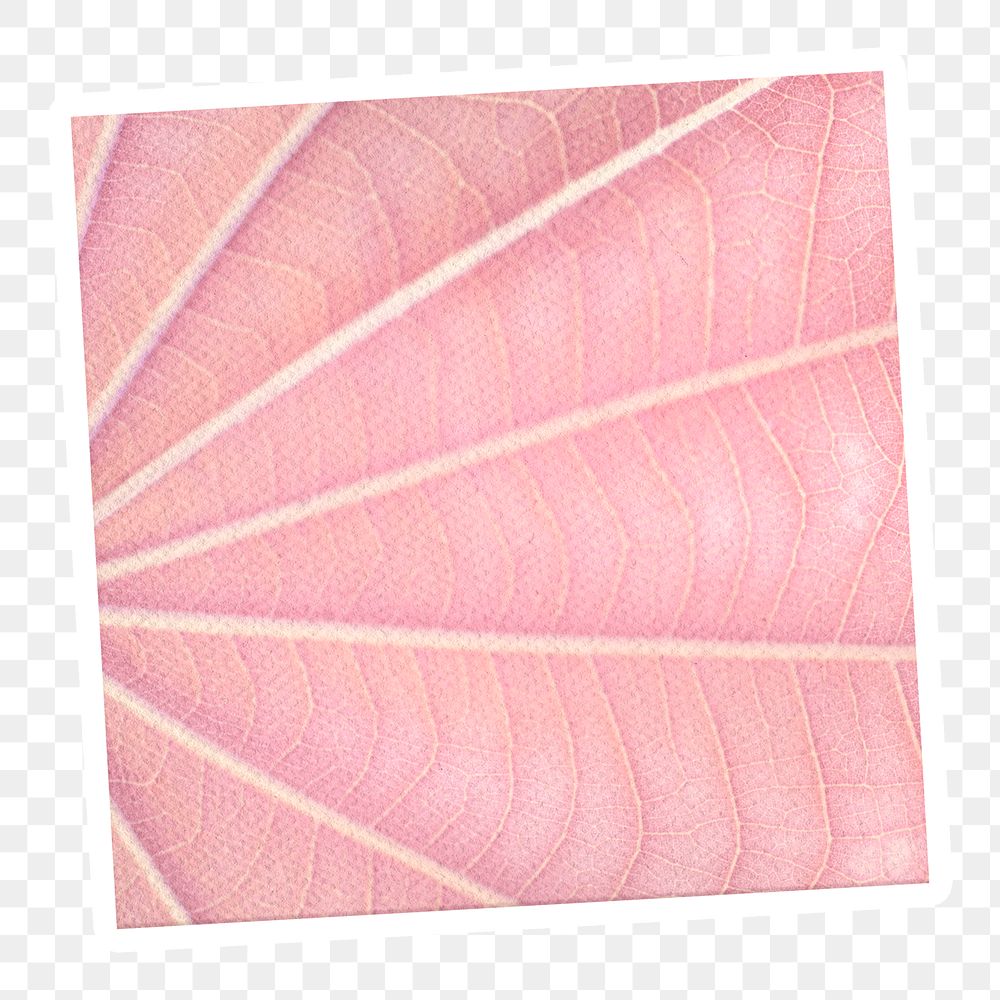 Pink leaf patterned notepaper with white border design element